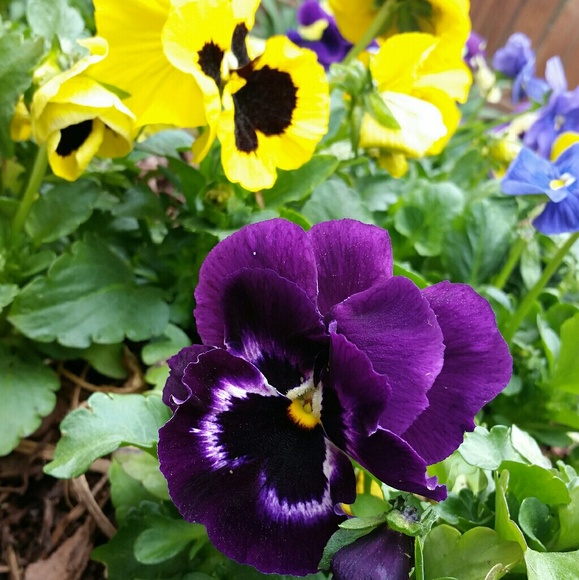 Hi, I'm Maria - Picture 3 of 7